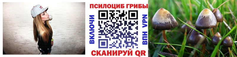 Псилоцибиновые грибы мухоморы Кимры